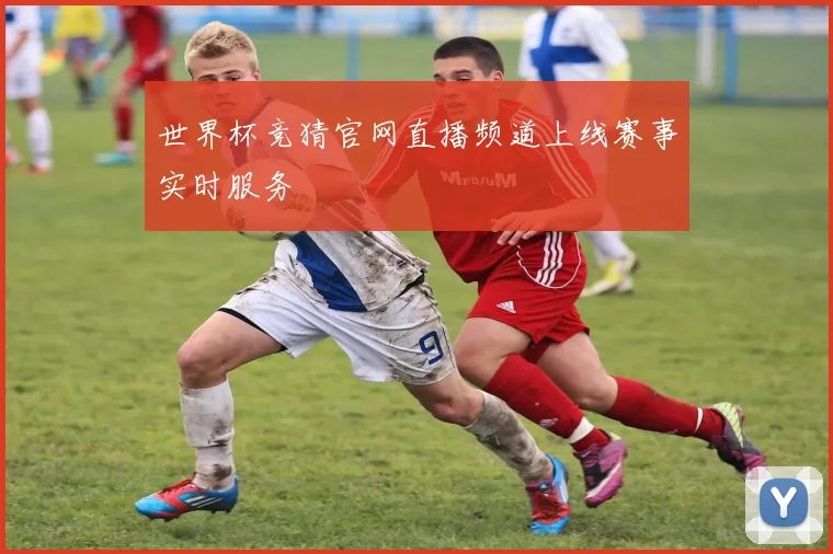 世界杯竞猜官网直播频道上线赛事实时服务