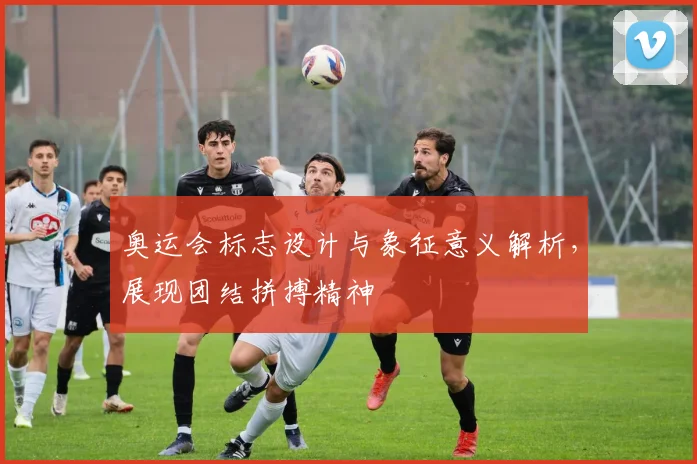 奥运会标志设计与象征意义解析，展现团结拼搏精神