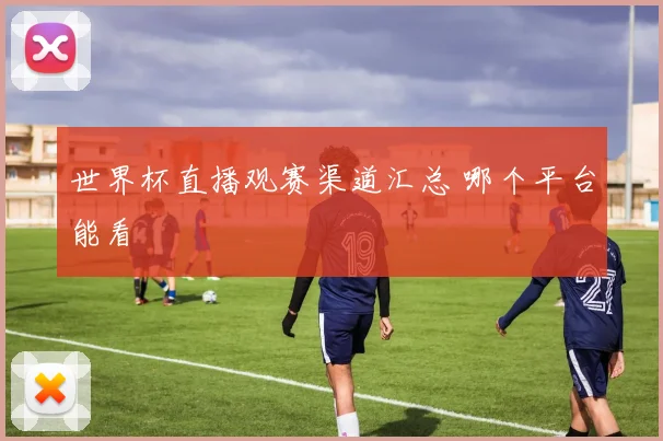 世界杯直播观赛渠道汇总 哪个平台能看